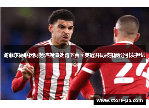 谢菲尔德联因财务违规遭处罚下赛季英冠开局被扣两分引发担忧
