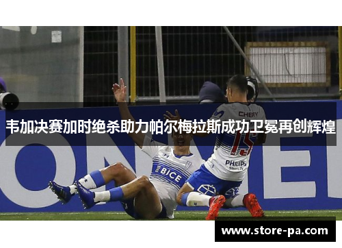 韦加决赛加时绝杀助力帕尔梅拉斯成功卫冕再创辉煌