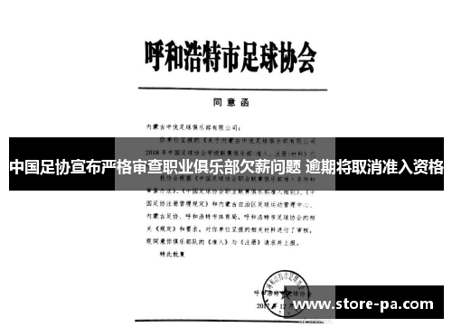 中国足协宣布严格审查职业俱乐部欠薪问题 逾期将取消准入资格 中国足协宣布严格审查职业俱乐部欠薪问题 逾期将取消准入资格